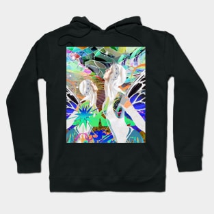 Magical Dance Hoodie